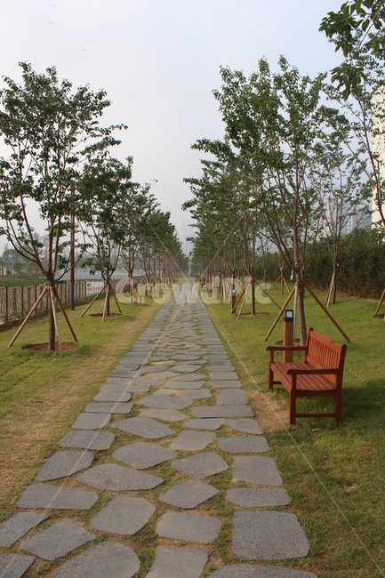 부산시민공원,공원,벤치,산책로,수목로,자연,풍경,nature,landscape,flagstone,판석