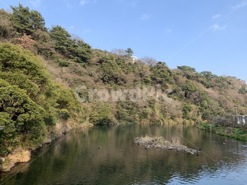 강,산,가을풍경,가을,나무,풀,호수,연못,제주도,자연,풍경,nature,landscape,water,물,outdoors,옥외