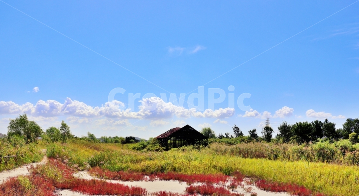 abandoned house,ruin,countryside house,old house,empty house,abandoned building,dilapidated building,field,nature,buildingremains,rurallandscape,farmvillage,hauntedhouse,overgrown,abandonedplace,ruinscenery,collapse,buildingcollapse,skyview,rusticscenery