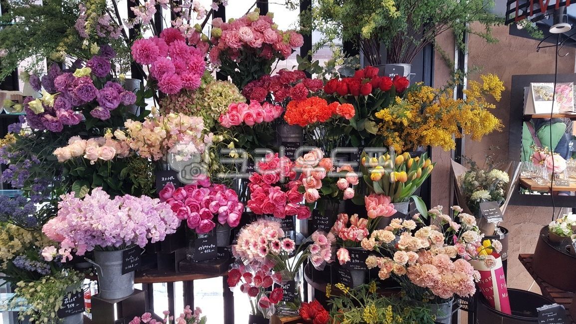 식물,blossom,꽃,flower,꽃꽂이,flowerbouquet,꽃부케,꽃가게,꽃집