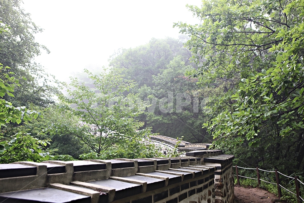 남한산성,성,성곽,길,둘레길,숲,숲길,벽,안개,돌담,담,여름,풍경