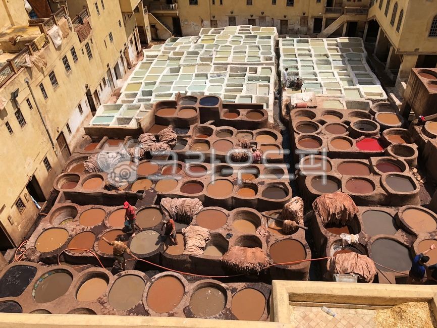 모로코,페즈,fes,morocco,염색공장,염색,북아프리카,페스,fez