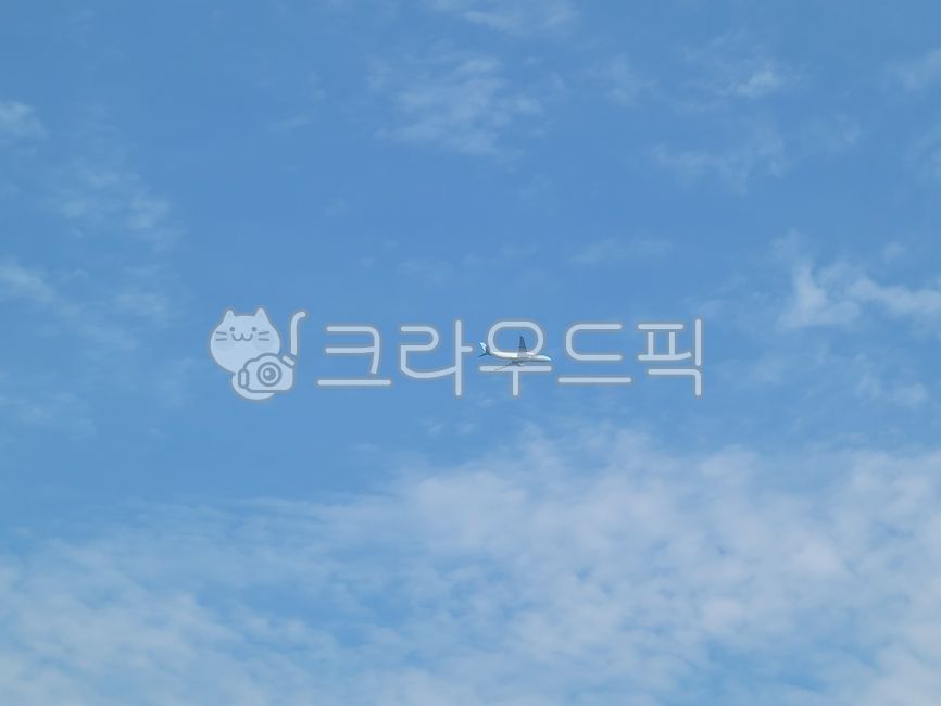 항공기,비행,여객기,비행기,하늘