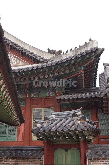 창경궁,경복궁,궁궐,한옥,전통,기와,문,기와집,전통적인,한국적인,고궁,처마,한국건축,풍경,한국,창덕궁,단청,켜켜이,레이어,한국전통,한국문화,korean traditional,korean culture,건축물,건물외관,exterior,building,structure,architecture,construction