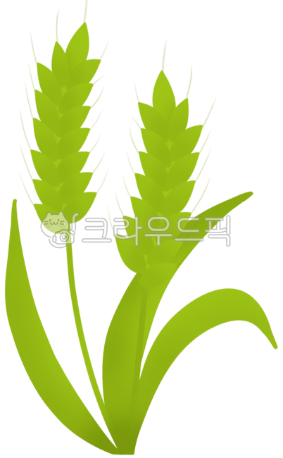 보리,보리일러스트,보리스티커,청보리,청보리일러스,청보리스티커,보리밥,보리빵