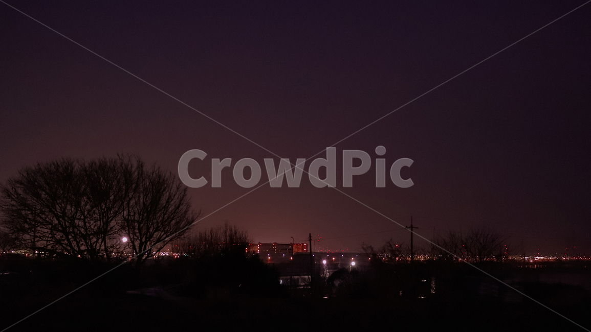 nature,자연,outdoors,옥외,야경,밤,나무,불빛,야경,밤,풍경,nightscape,night,landscape