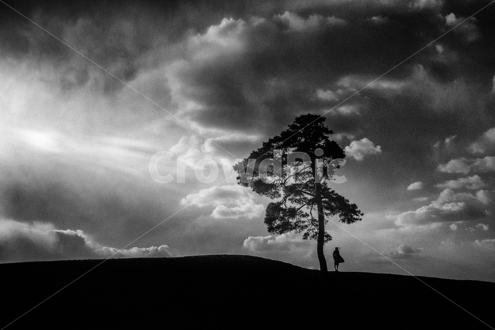 노을,빛내림,하늘,기다림,감성,나무,여인,구름,자연,풍경,nature,landscape,흑백,모노톤,monochrome,black and white,weather,날씨