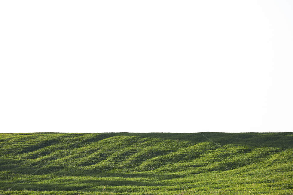 초원,언덕,초록,역광,초여름,풍경,green