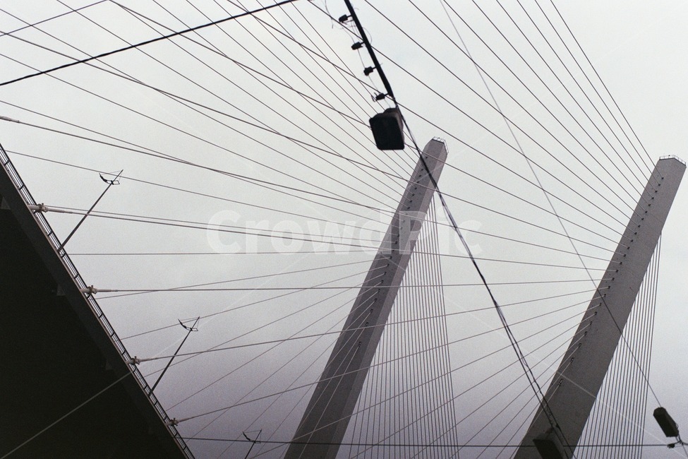 다리,도시,필름,금각교,회색,bridge,city,urban,film,gray,건축물,건물외관,exterior,building,structure,architecture,construction