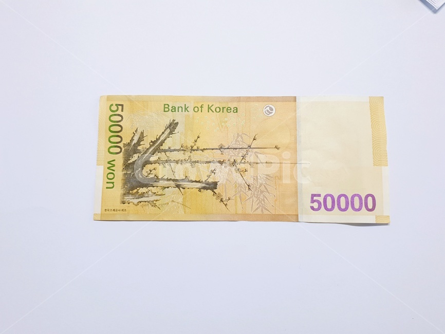 돈,지폐,종이돈,오만원,50000,한국돈