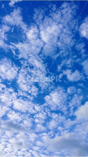 구름,하늘,자연,cloud,sky,파란하늘,bluesky,맑은하늘,구름사진,nature,자연,풍경,nature,landscape,outdoors,옥외,azure sky,푸른 하늘