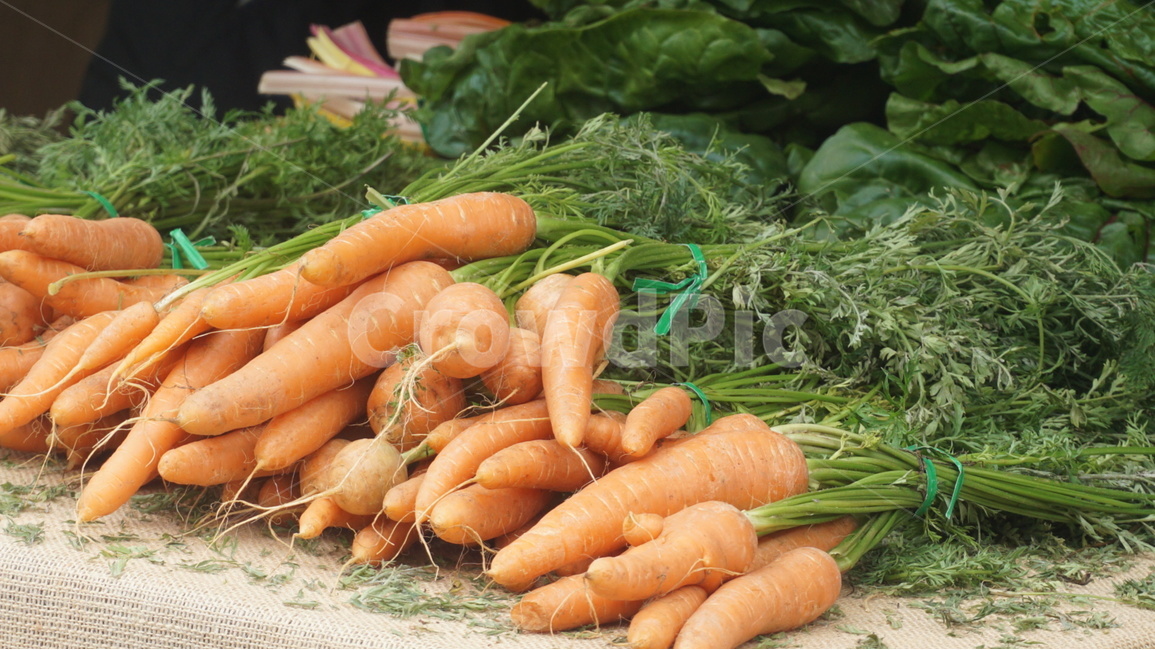당근,채소,시장,여행,carrot,travel,photography,동네풍경,음식,식재료,요리,food,cook,meal,dishes,food reserves,채소,야채,vegetables