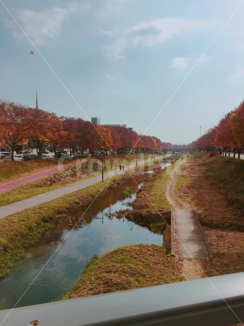 가을,단풍,자연,풍경,일상,가을,계절,fall,autumn,season,도시,풍경,city,landscape,한국도시풍경,한국도시경관,korea cityscape,ditch,도랑