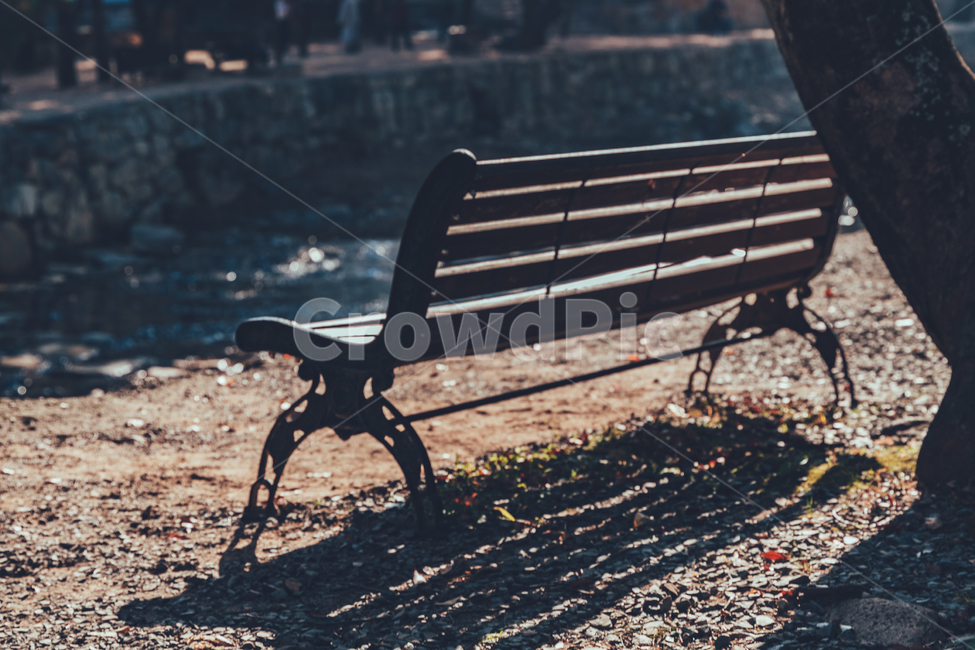 의자,가을,풍경,감성,벤치,가을,계절,fall,autumn,season,furniture,가구,bench,park bench,공원 벤치