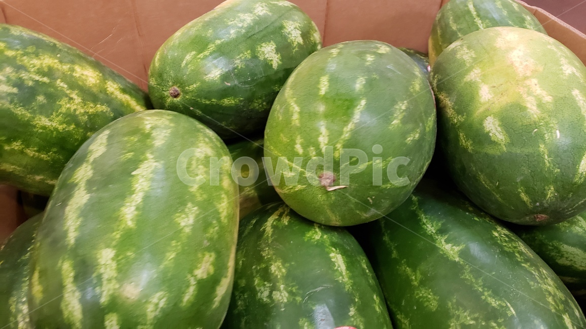 수박,여름,과일,초록색,싱싱함