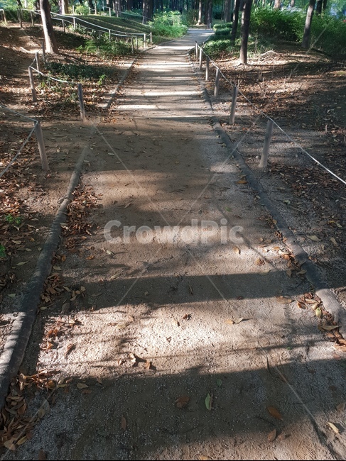 산책로,가을,낙엽,햇살,산책,숲,자연,풍경,nature,landscape,ground,바닥,gravel,자갈,road,도로,dirt road,흙길