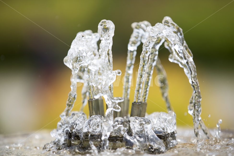 분수,물움직임,fountain,물살,찰나의순간,여름,계절,summer,season,outdoors,옥외,nature,자연,ice,빙
