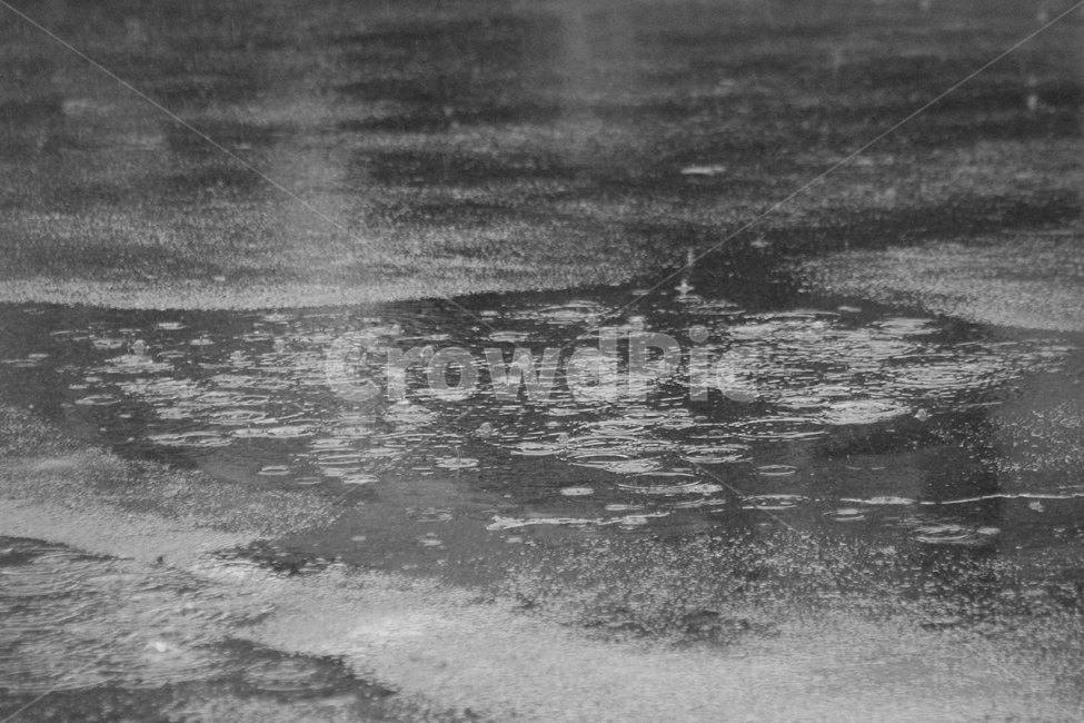 봄,골목,기억,옛생각,길,봄비,비,비오는날,rain,rainy,흑백,모노톤,monochrome,black and white