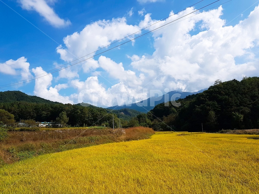 가을하늘,시골,밭,전깃줄,산,나무,구름