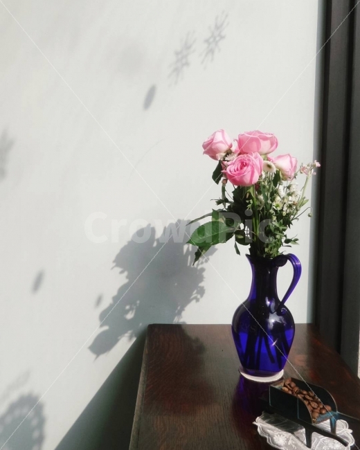 꽃,플라워,카페,일상,쉼,식물,자연,plants,nature,꽃,flower,커피,카페,coffee,cafe,인테리어,실내디자인,interior design