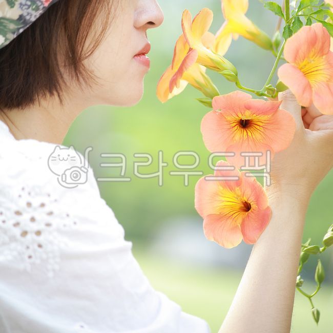 능소화,꽃,배경이미지,꽃잎,손,얼굴,냄새맡기,연두,머리,사람,face,head,person,background,green