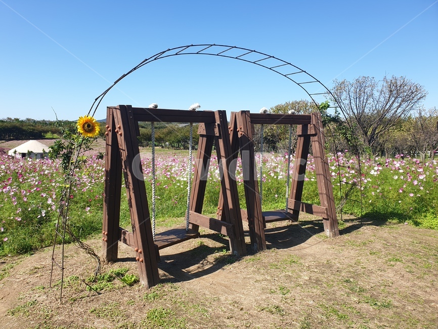그네,해바라기,하늘,잔디,꽃,나무,날씨,정원,정자,garden,옥외,문,gate
