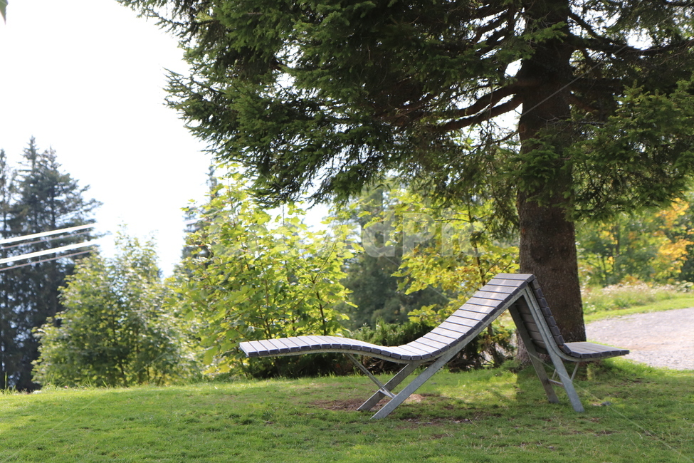 벤치,쉼,나무,자연,의자,자연,풍경,nature,landscape,bench