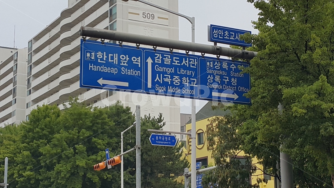 이정표,표지판,파란색,가로수,길찿기