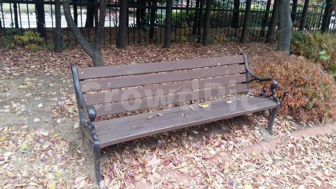 가을,낙엽,텅빈벤치,텅빈,가을풍경,쓸쓸한,외로움,기다림,공원,가을,계절,fall,autumn,season,furniture,가구,bench,벤치,park bench,공원 벤치