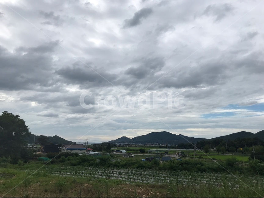 구름,논,자연,조화,시골,풍경,cloud,산,나무
