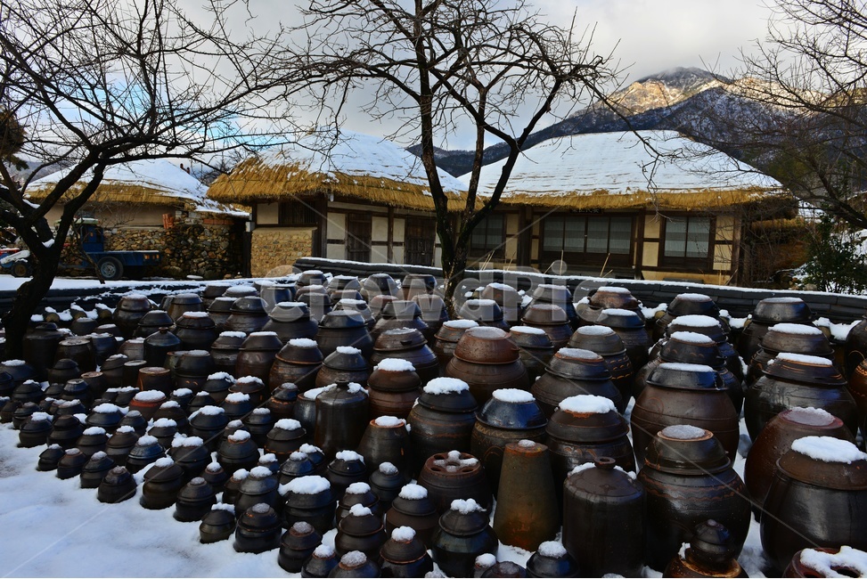전남,순천,낙안읍성,낙안읍성설경,겨울,계절,운해,설경,nature,초가지붕,초가집,민속마을,낙안읍성민속마을,자연,outdoors,옥외,housing,주택,hut,오두막,rural,농촌,human,인간,person,사람,plant,식물,tree,나무,겨울,계절,winter,season,한국전통,한국문화,korean traditional,korean culture