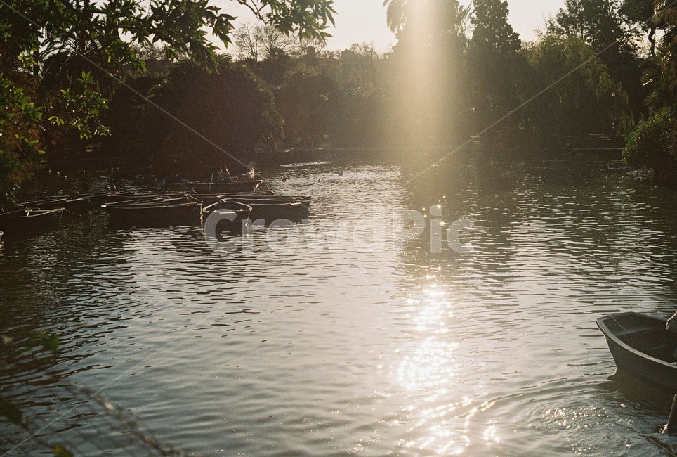 호수,배,뱃놀이,윤슬,바르셀로나호수,빛,반짝임,light,boat,필름,필름사진,film