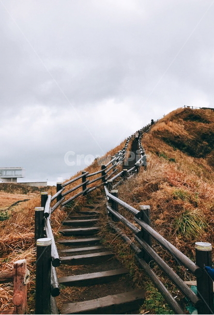 제주도,섭지코지,풍경,관광지,산책로,바다,가을,계절,fall,autumn,season,자연,풍경,nature,landscape,제주도,jeju,jeju island,handrail,난간,banister,railing