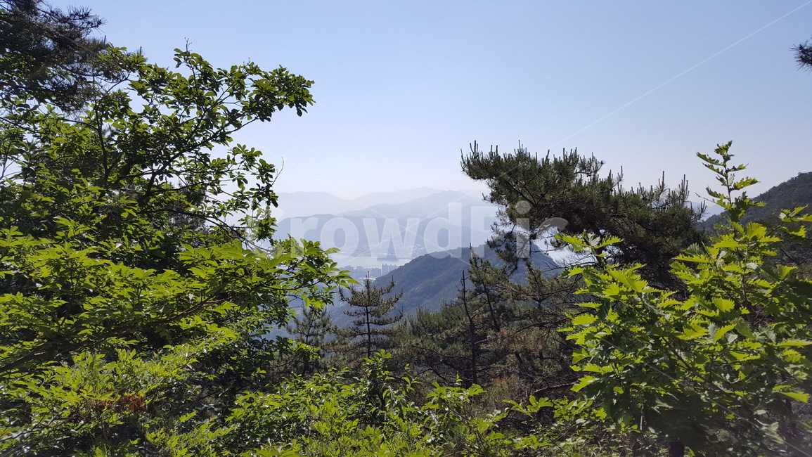 산,풍경,나무,숲,능선