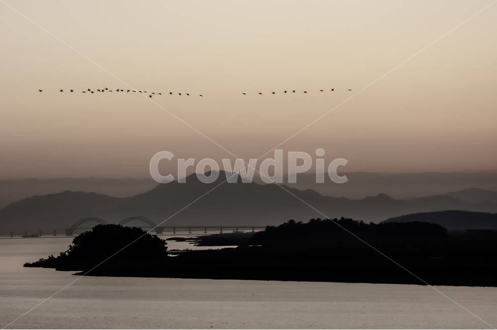 nature,자연,outdoors,옥외,새벽,철새,자연,풍경,nature,landscape