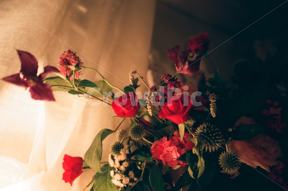 카페,꽃,꽃다발,감성사진,flower