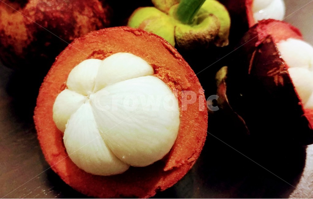 망고스틴, 열대과일, 달콤, 과육, 신선, 사진,이미지,일러스트,캘리그라피 - 송사마작가