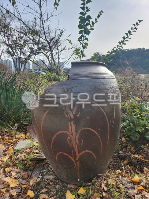 항아리,깨진항아리,pot,가을,fall,독,배경화면,시골,풍경,고향집,옛날