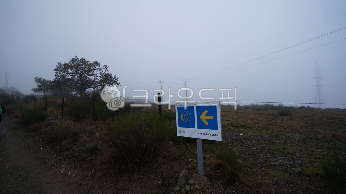 이정표,순례자길,산티아고,스페인,나무,산,새벽,안개