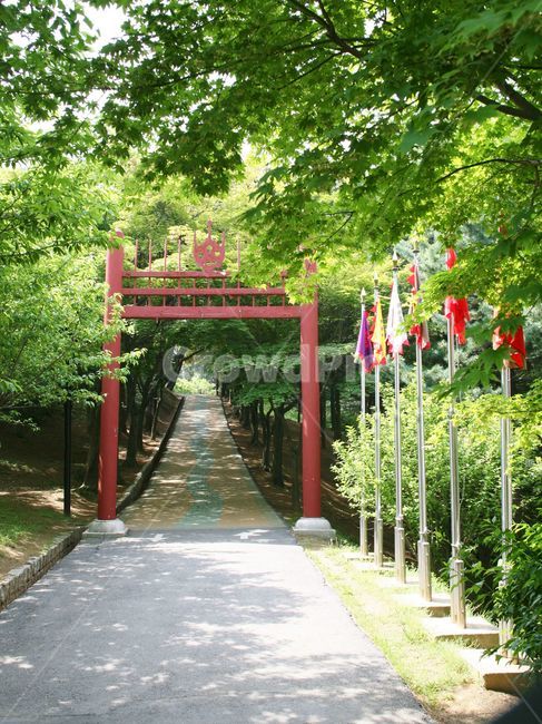 홍살문,풍경,경치,나무문,궁전문,관아문,능문,묘문,원문,태극문양