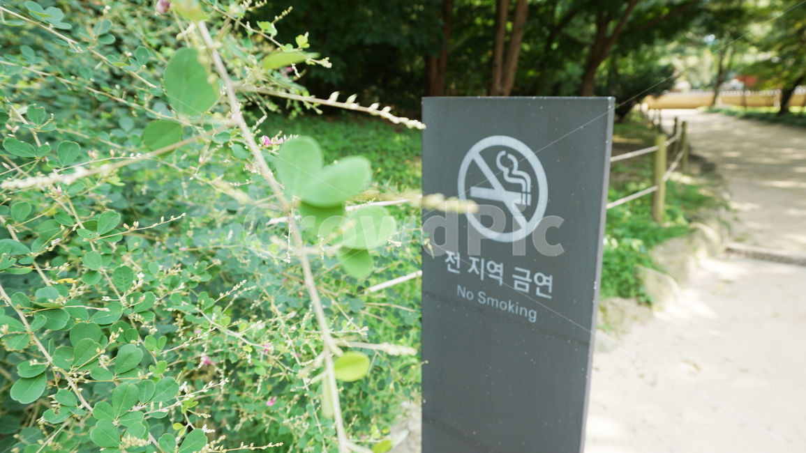 금연,nosmoking,흡연금지,전지역금연,안내,문구,경고