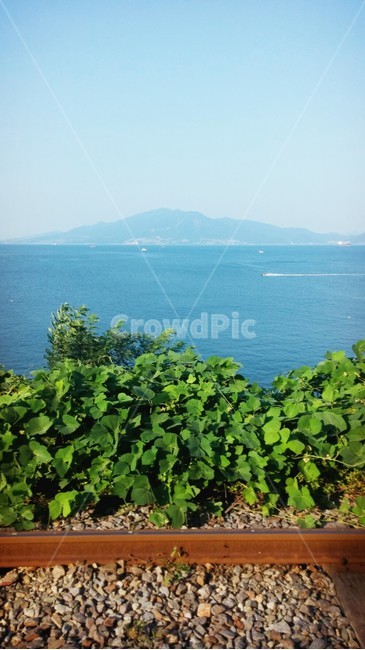 여수,풍경,레일바이크,바다,자연,힐링,자연,풍경,nature,landscape,outdoors,옥외,land,땅,ocean,대양,sea,water,물,shoreline,해안선