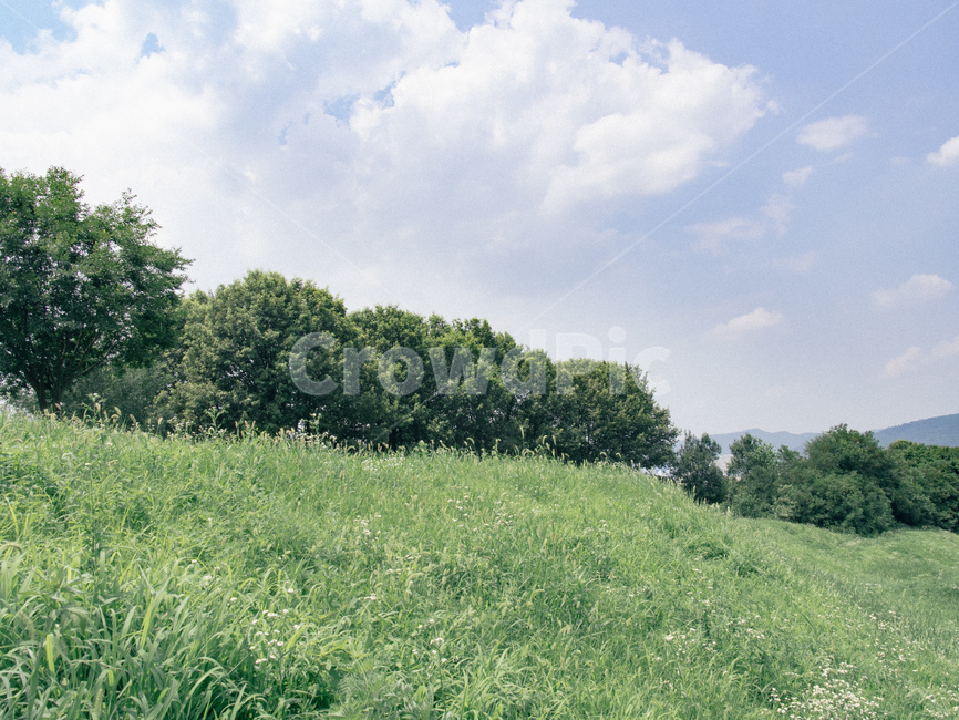 grassland,field,nature,자연,풍경,야외,자연,풍경,nature,landscape