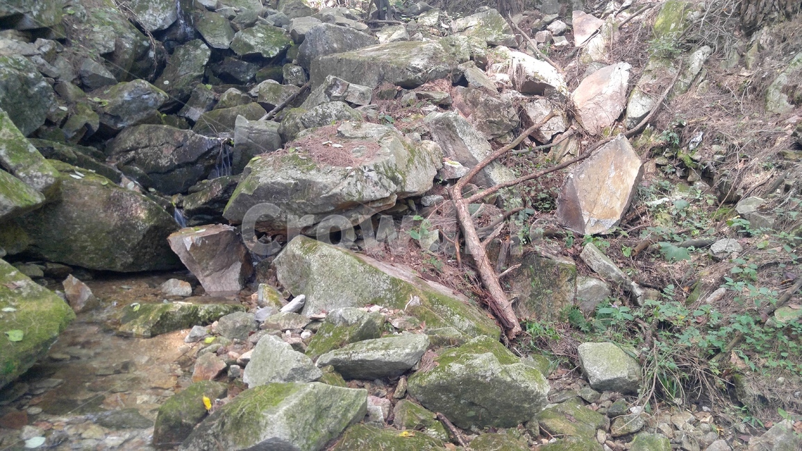 계곡,물,숲,돌,나무,자연,풍경,nature,landscape,rubble,파편,slate,슬레이트