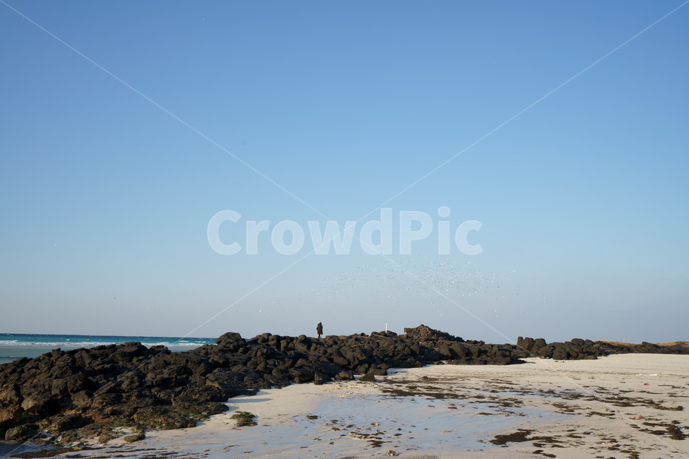 제주도,제주해변,김녕성세기해변,겨울바다,자연,jejuisland,jeju,koreanature,wintersea,sea