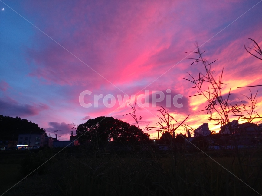 일몰,sunset,시골,자연,구름,신비