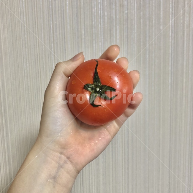 토마토,레드,빨간색,여름,과일,채소