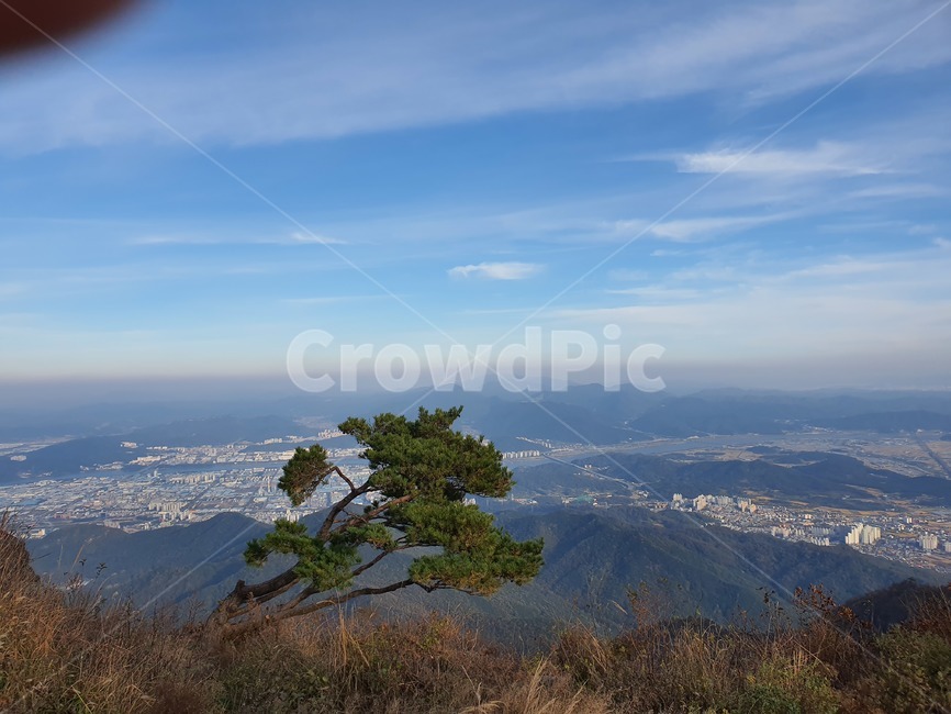 산,정상,하늘,지구,구름,소나무,도시,nature,자연,outdoors,옥외,scenery,풍경,landscape,경치