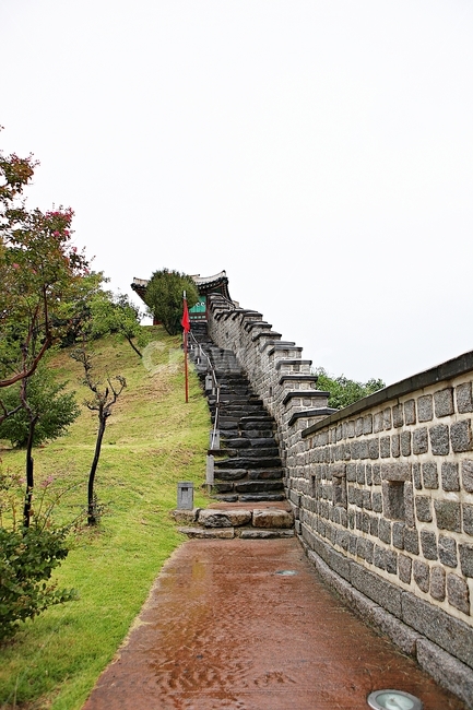 수원화성,서,성곽,길,둘레길,돌담,담,가을,자연,풍경,벽,방어벽,전통,흙담,식물,한국전통,한국문화,korean traditional,korean culture,건축물,건물외관,exterior,building,structure,architecture,construction