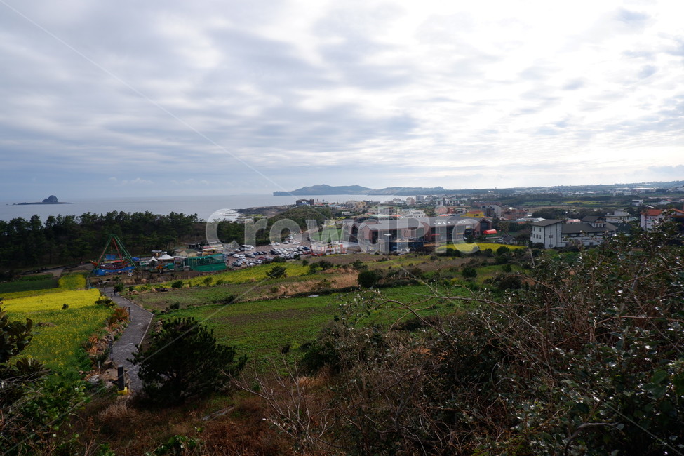 제주도,풍경,들판,구름,자연,시골,마을,풍경,landscape,country,rural,town